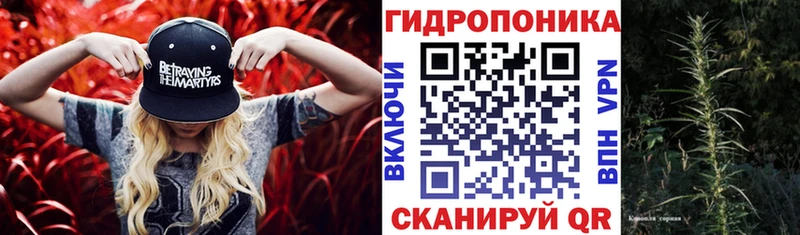 Бошки Шишки индика  где продают   мега ссылки  Спас-Клепики 